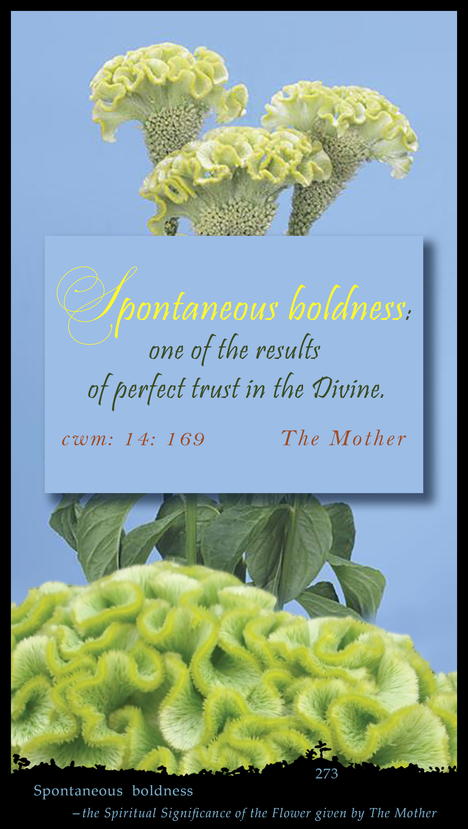 Spontaneous  Boldness